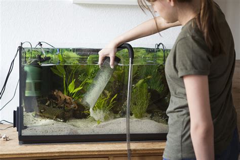 Water Change in Fish Tank