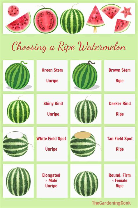 Watermelon Chart Ripe