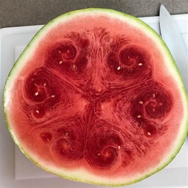 Watermelon Inside Pattern