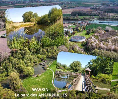 Wavrin à Wavrin