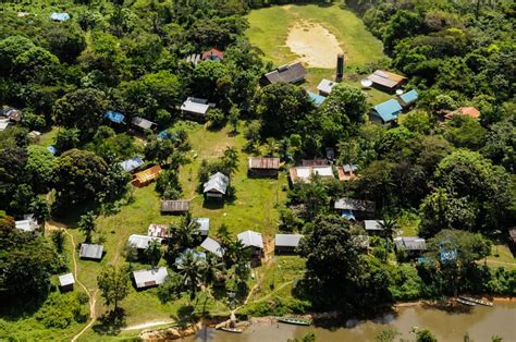 Wayapi à Prémesques