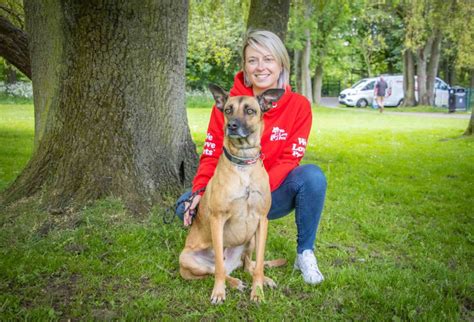 We Love Pets Wokingham & Winnersh - Dog Walker, Pet Sitter & Home Boarder