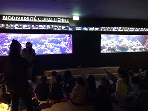 Web Tropical à Bondy