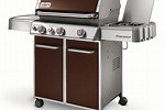 Weber Gas Grill Closeout Sale