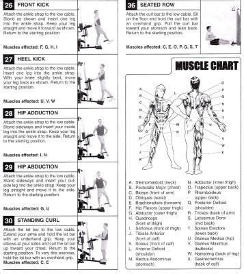 Weider 2980x Exercise Chart