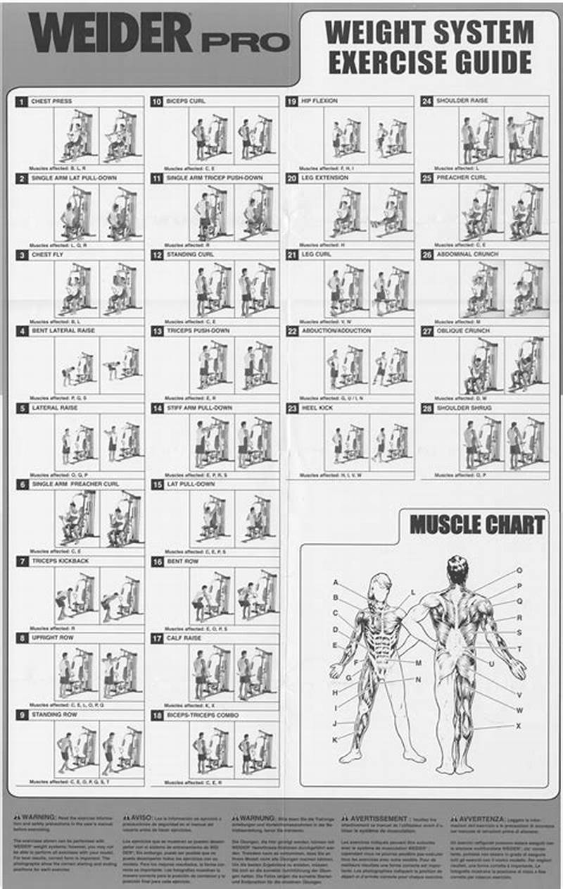 Weider Pro Power Stack 550 Exercise Chart