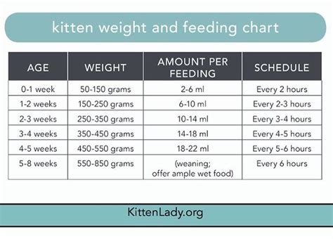 Weight Chart For Kittens