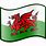 Welsh Flag Cartoon