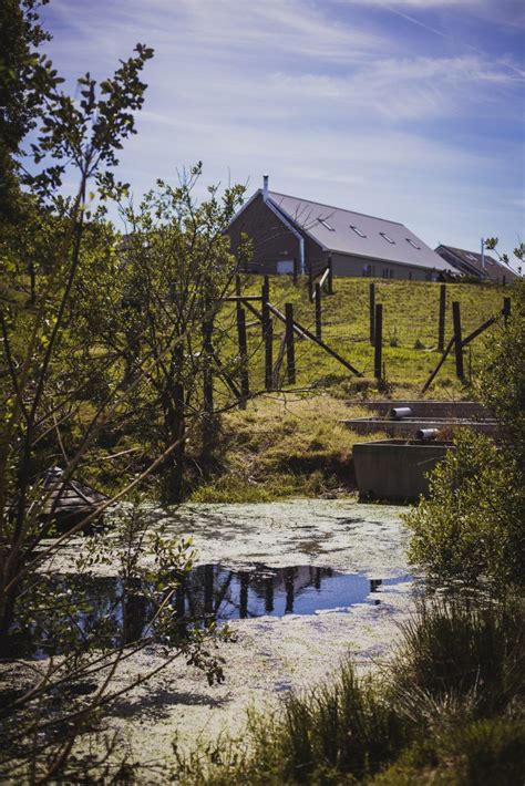 Welsh Organic Tannery