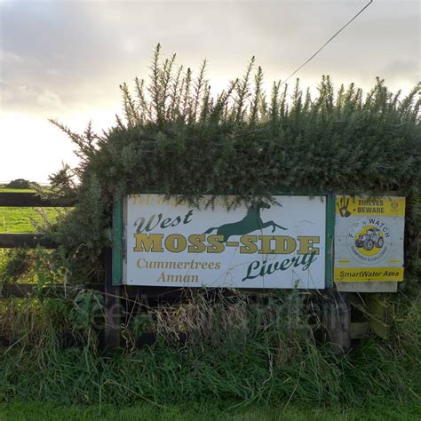 West Moss-Side Livery & Campsite