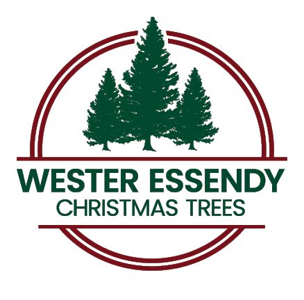 Wester Essendy Christmas Trees