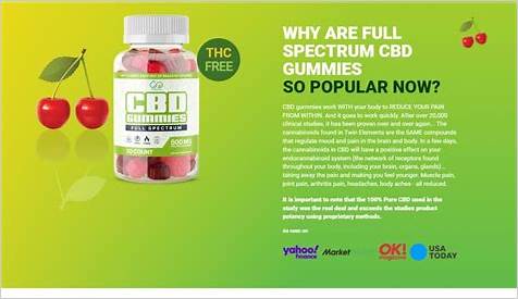 What Does CBD Gummies: A Comprehensive Guide to Benefits, Uses, and Effects