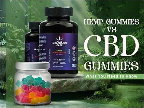 What's the Difference Between Hemp Gummies and CBD Gummies: A Comprehensive Guide