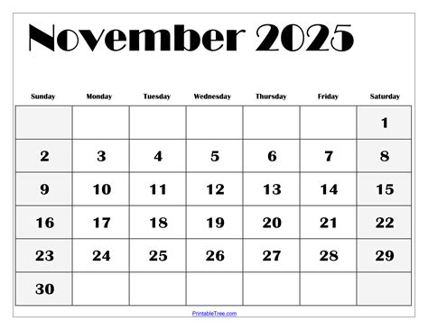 What's on in November 2025