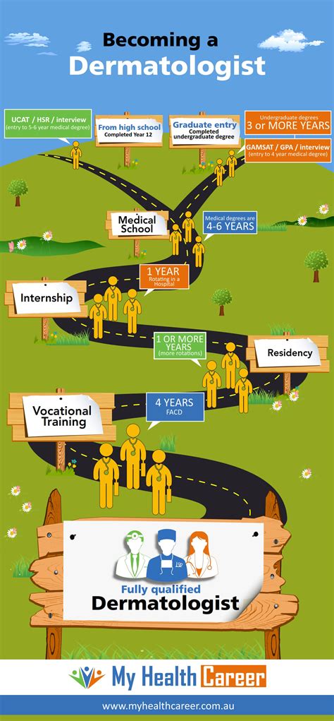 What Career Cluster Is Dermatologist In