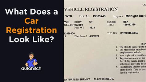 What Is Car Registration