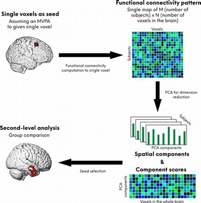 What Is Multivariate Pattern Analysis