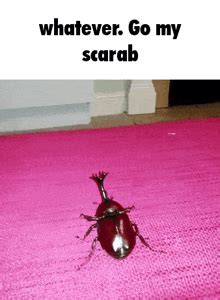 Whatever Go My Scarab Template