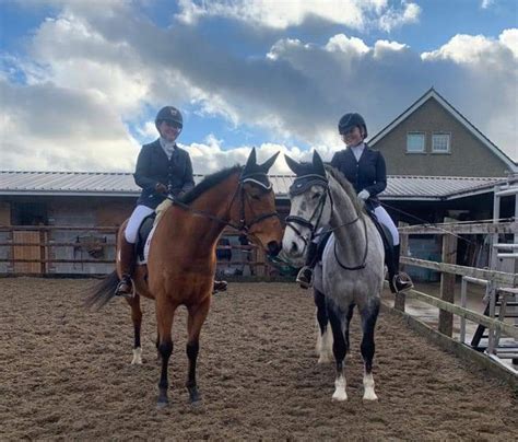 Wheatfield Equestrian & Livery Centre