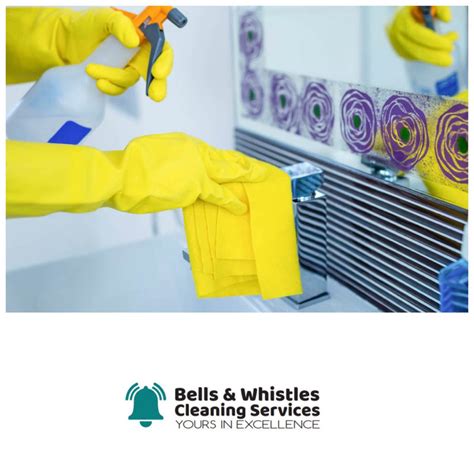 Whistles Cleaning Services