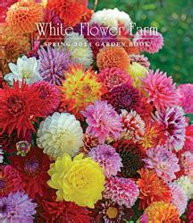 White Flower Farm Spring Catalogue