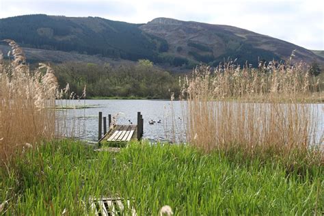 White Moss Loch