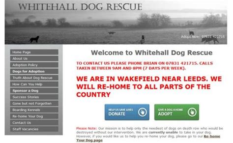 Whitehall Dog Rescue