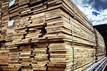 Wholesale Lumber