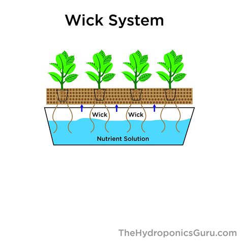 Wick System diagram