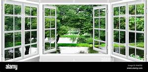Widen the Window to Nature