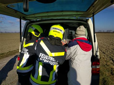 Wildtier-Rettungsdienst