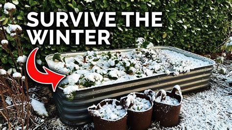 Winter Tasks That Keep Gardeners Busy Until Spring Returns