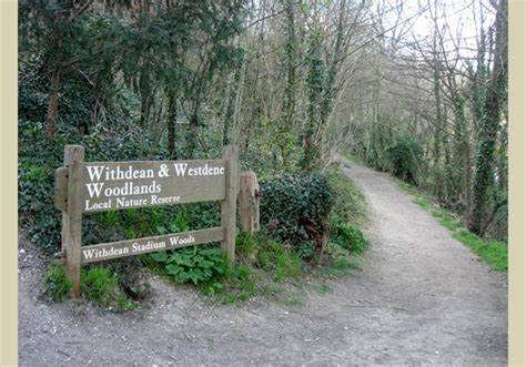 Withdean Woods Local Nature Reserve
