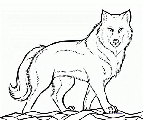 Wolf Coloring Page Printable