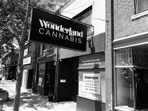 Wonderland Cannabis Dispensary
