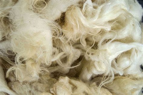 Wool & Woollen Tartu mnt 65, 10115 Tallinn
