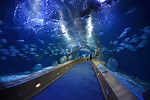 World Aquarium