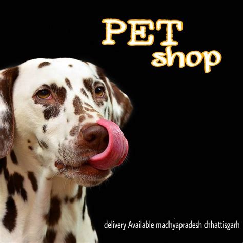 World pets shop shahdol