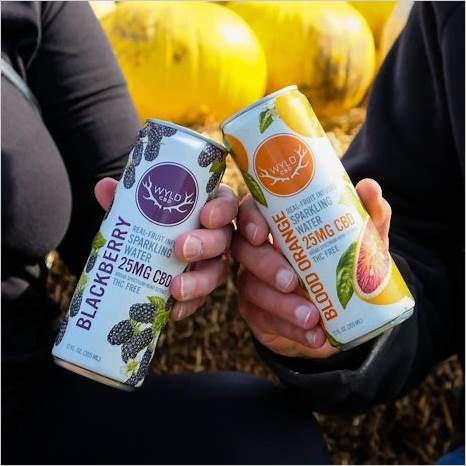 Wyld CBD Sparkling Water Review: A Comprehensive Analysis of Benefits and Effects