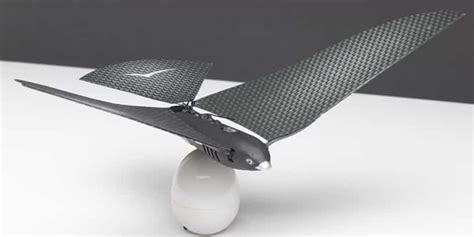 XTIM - Bionic Bird à Marseille