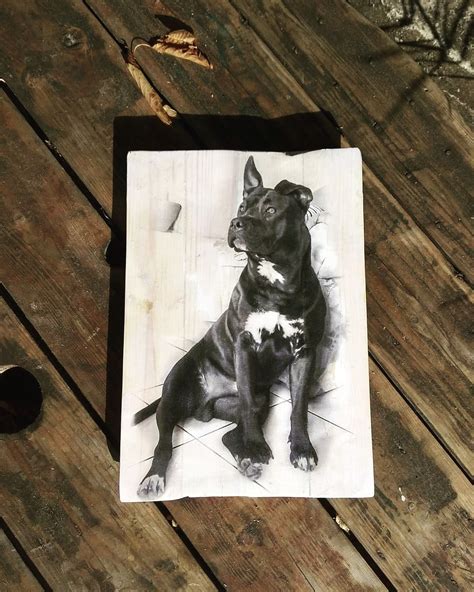 Yanimale à Gerstheim