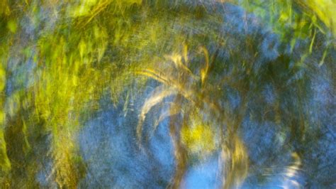 Yannick Laval à Lyon