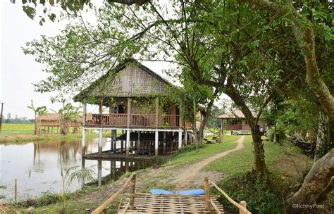 Ygdrasill Bamboo Cottage
