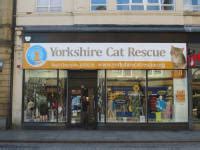 Yorkshire Cat Rescue Charity Shop Halifax