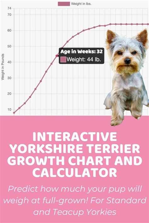 Yorkshire Growth Chart