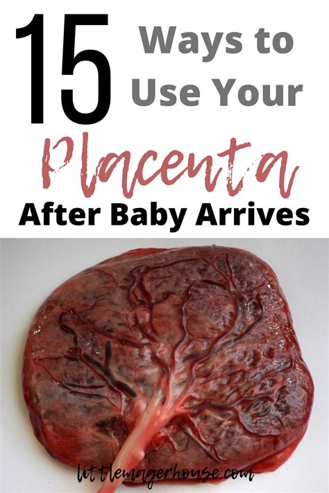 Your Pure Placenta