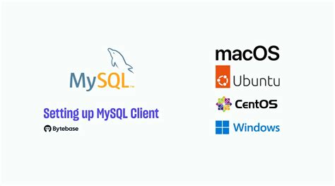 MySQL Client