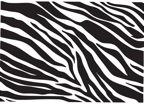 Zebra Animal
