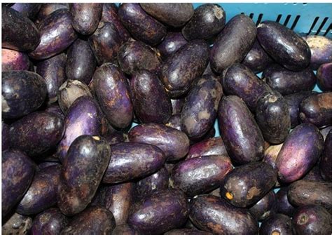 Zervmart Afro Plus Store à Metz