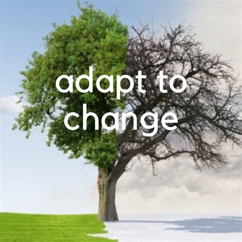 adapt to change
